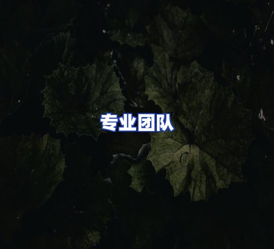 现代化资料管理中心